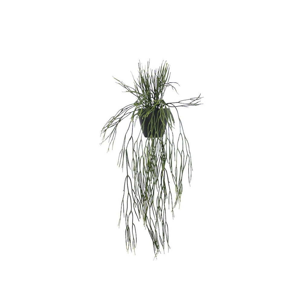 Faux Potted Hanging Rhipsalis 76cm in ribbed black pot