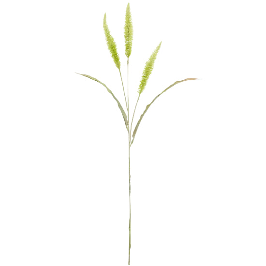 Shop 94 cm Cream Fountain Grass – a realistic faux plant with soft plumes, ideal for adding natural texture and height to home décor.