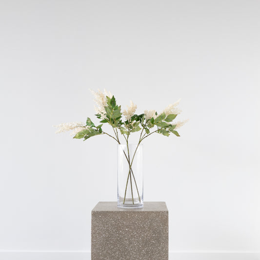 Close-up of Veronica Spray flowers, 70cm