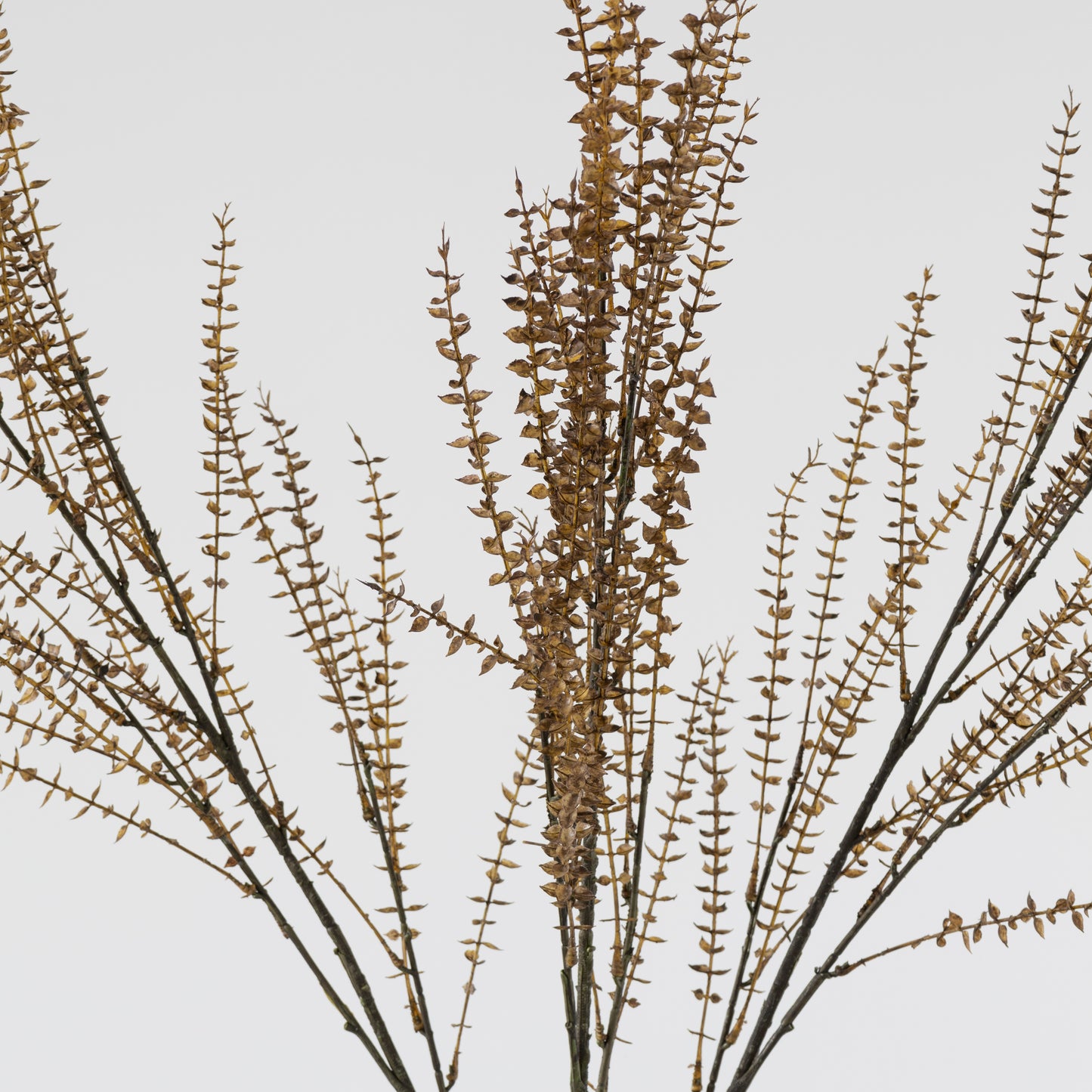 Dried Look Branch 105cm