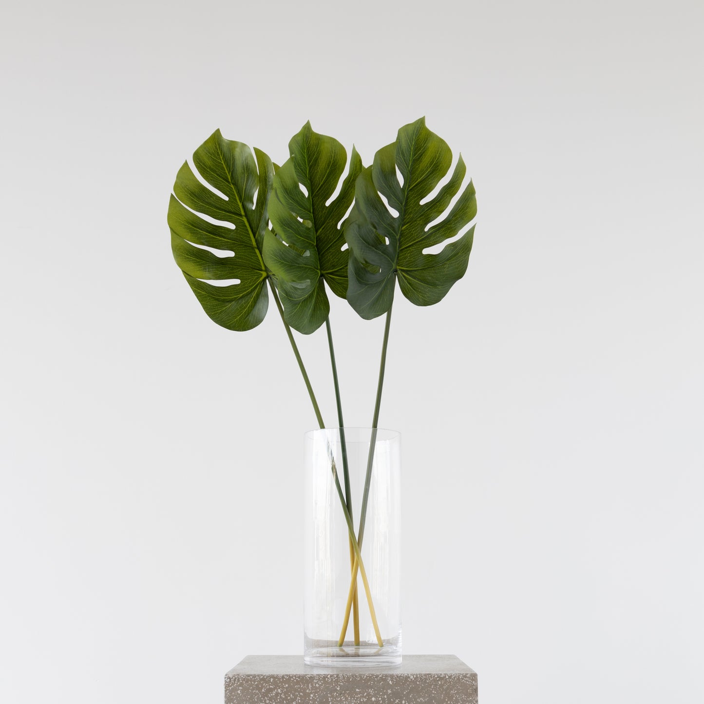 Split Philo Leaf