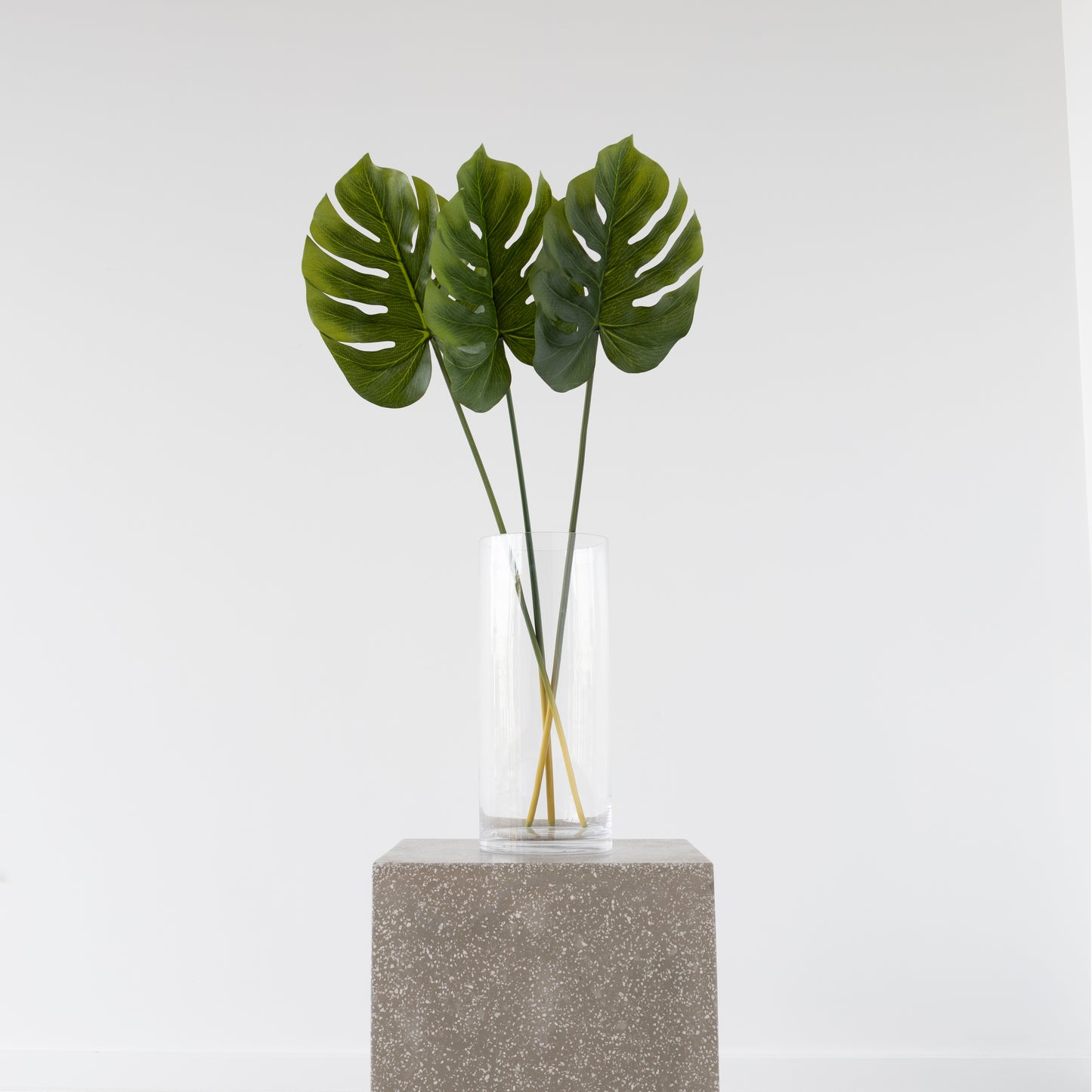 Split Philo Leaf