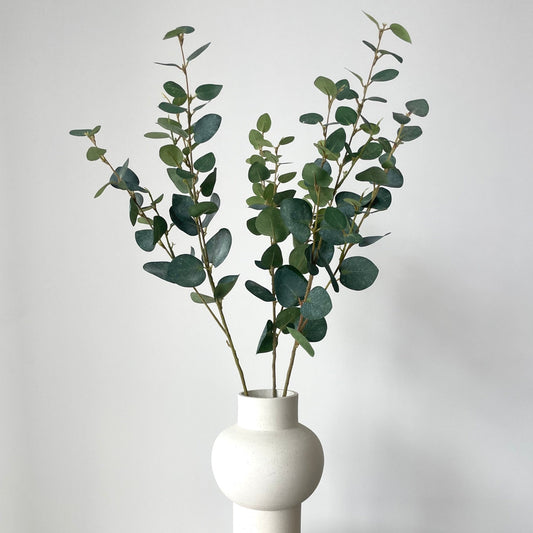 Eucalyptus Spray Green