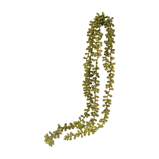 Shop the 70 cm String of Pearls Hanging Succulent – a vibrant faux plant in red and green, ideal for adding cascading texture and color to home décor.