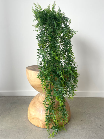 Long Baker Fern Bush