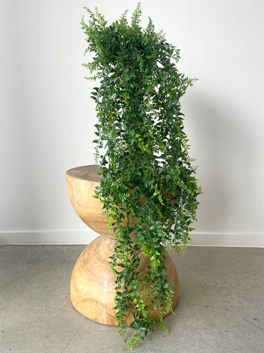 Long Baker Fern Bush