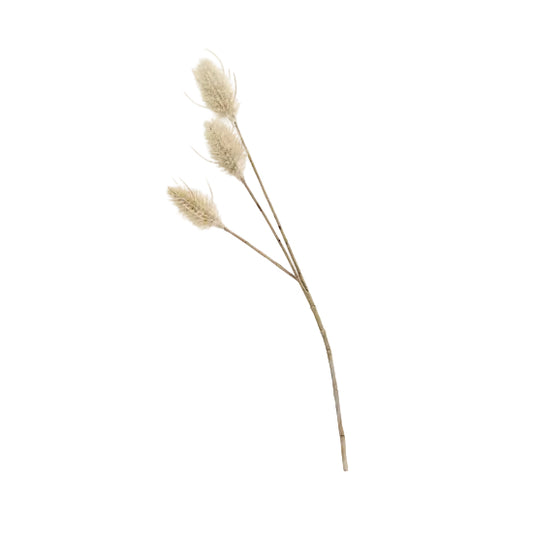 Shop the 35 cm Bunny Tail Pick – a faux dried accent with three fluffy heads, ideal for adding texture and charm to home décor arrangements.