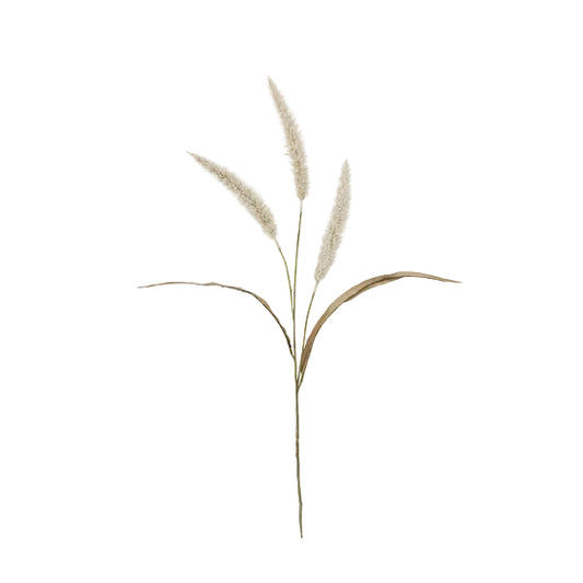 Shop 94 cm Cream Fountain Grass – a realistic faux plant with soft plumes, ideal for adding natural texture and height to home décor.