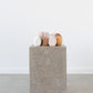 Harmie Vase - Seed