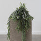 Hanging Eucalyptus Grey/Green - 82cm