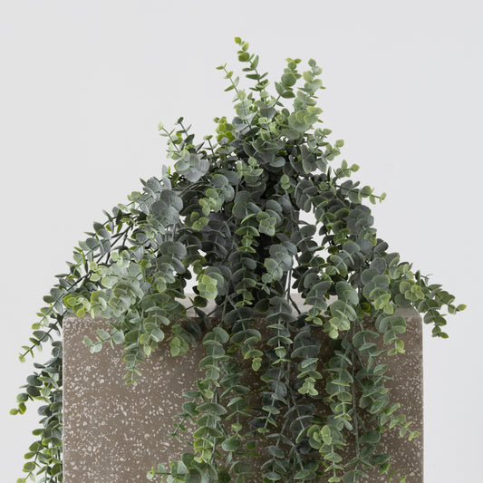 Hanging Eucalyptus Grey/Green - 82cm