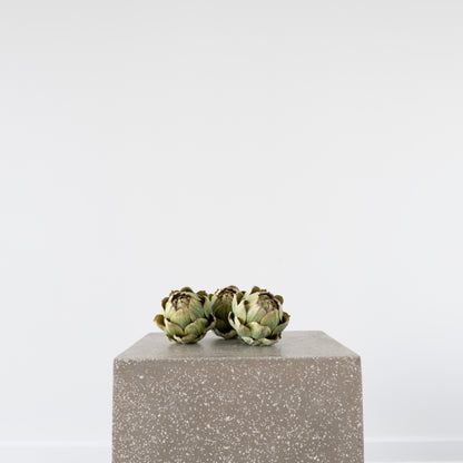 Open Artichoke