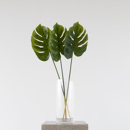 Split Philo Leaf