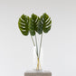 Split Philo Leaf