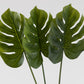 Split Philo Leaf