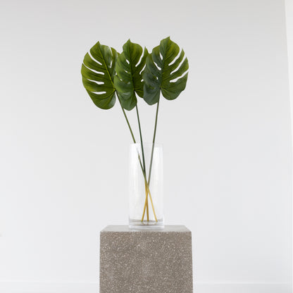 Split Philo Leaf