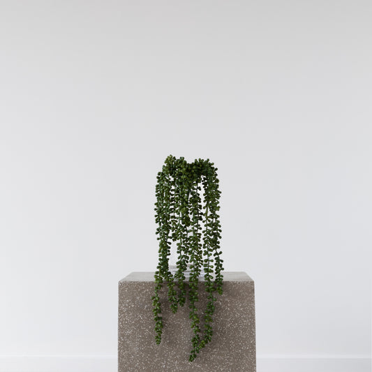 String Of Beads Spray