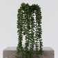 String Of Beads Spray