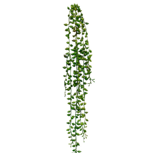 String of Tears