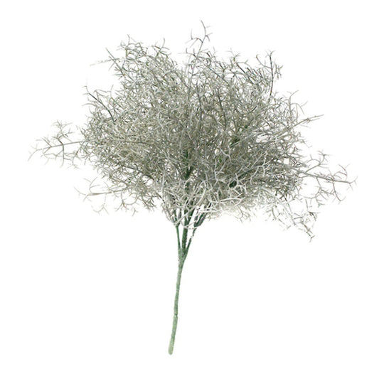 Desert Bush