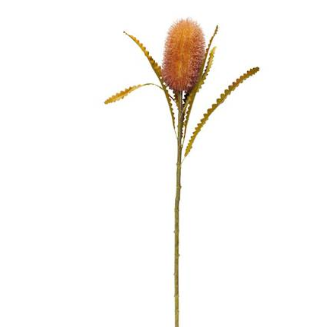 Banksia Brown/Pink - 58cm